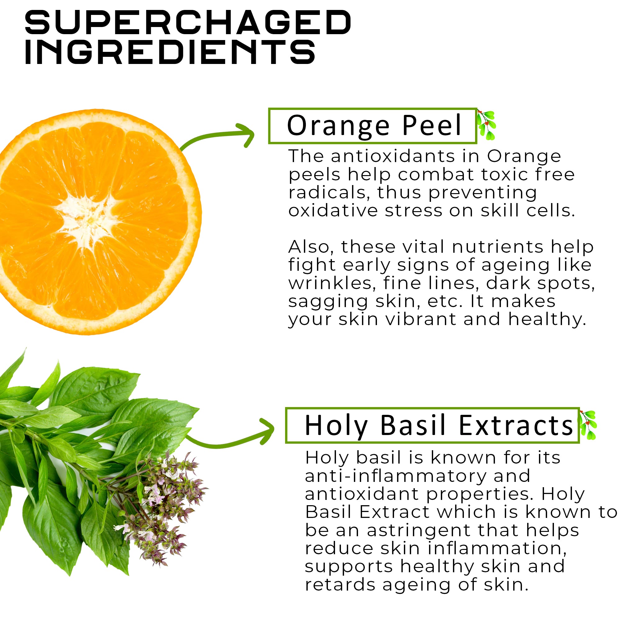 Orange Peel with Holy Basil Body Wash with Free Loofah | For Anti-Ageing & Glowing Skin | All Skin Types | For Men and Women