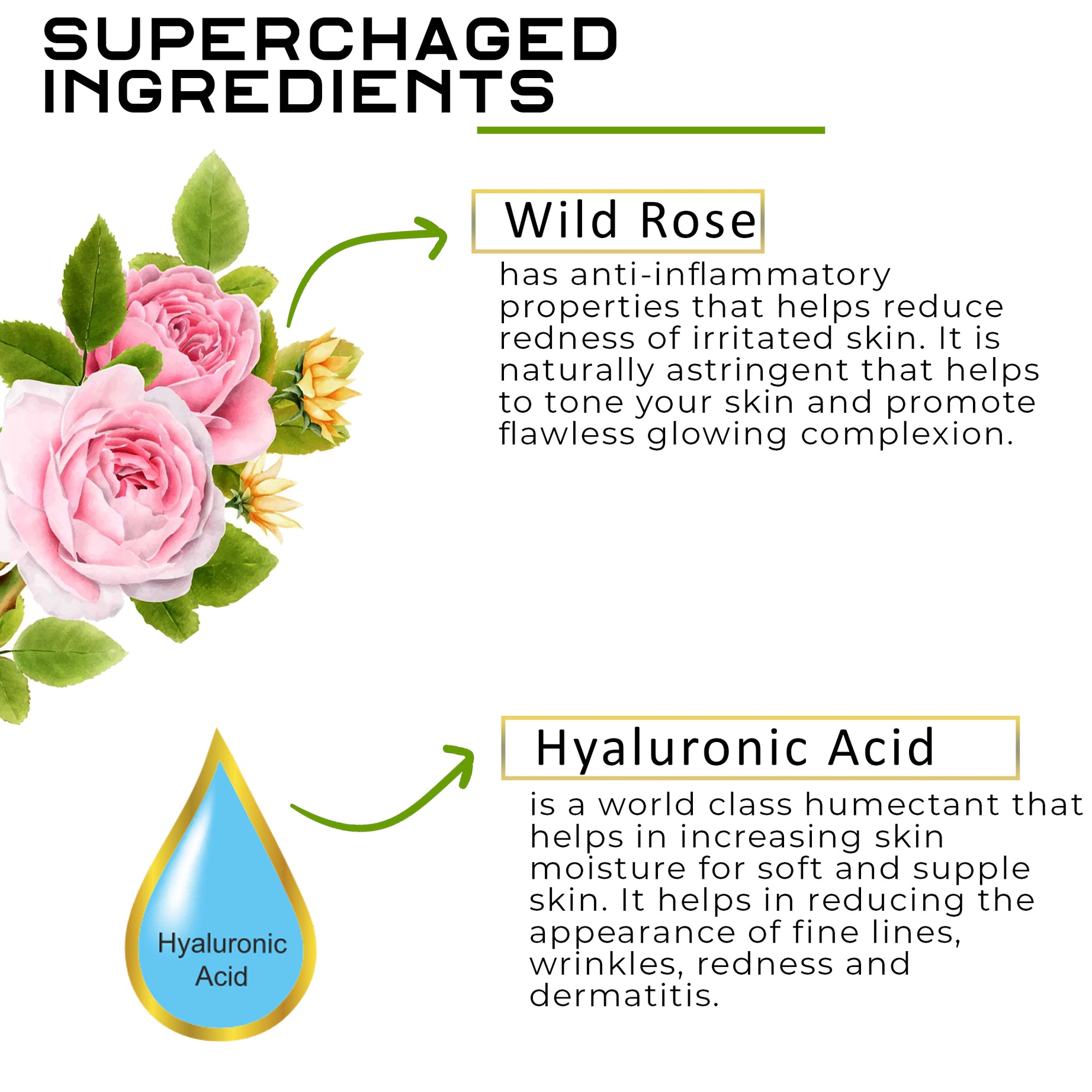 Wild Rose Body Lotion with Hyaluronic Acid | Increases Skin’s Firmness & Purifies | for Soft & Supple Skin