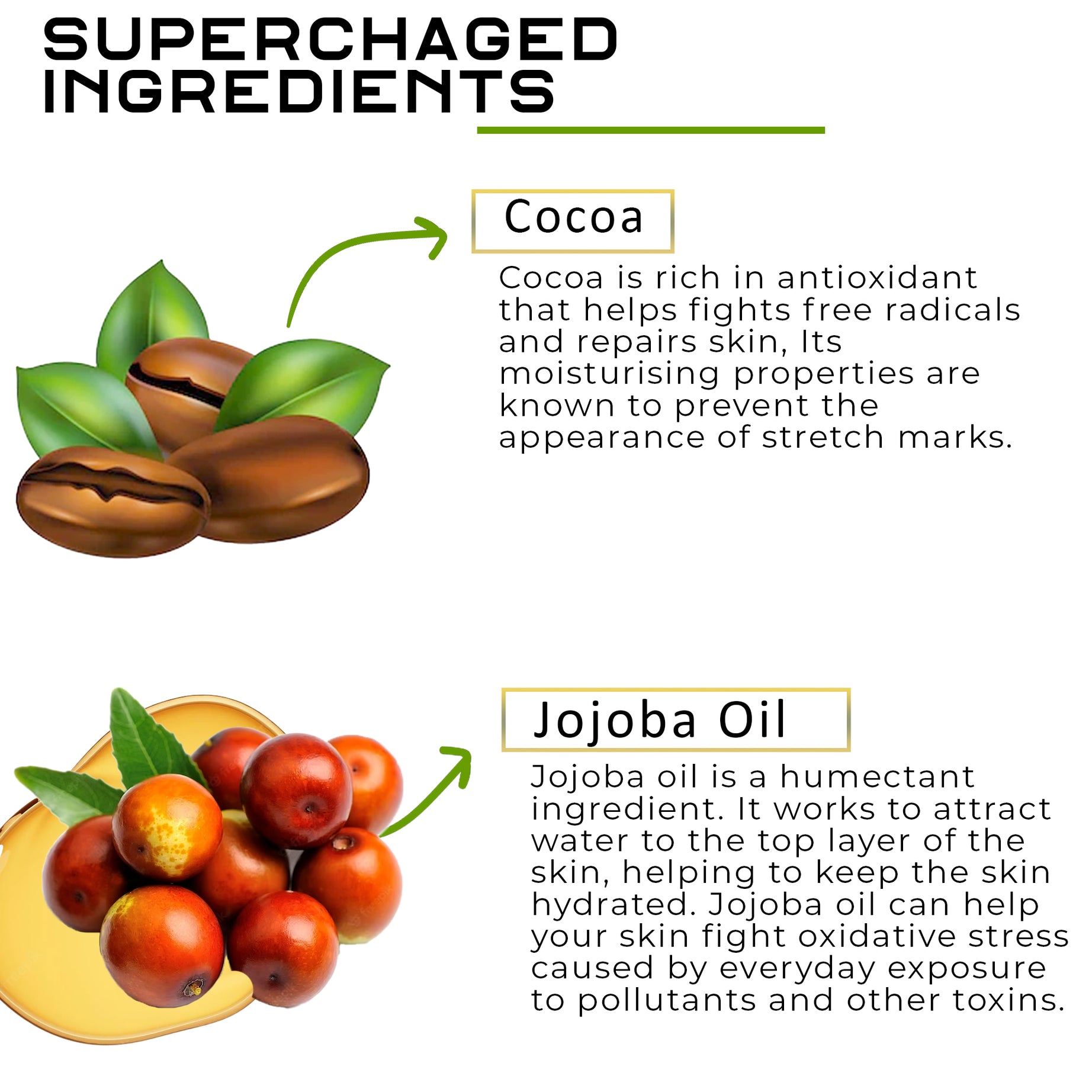 Cocoa Jojoba Oil Body Lotion With Vitamin E | For Stretch Marks & Detox