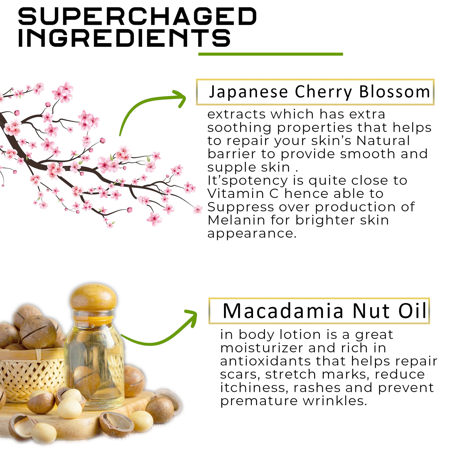 Japanese Cherry Blossom + Macadamia Nut Oil Body Lotion | For Anti-Ageing & Anti-Wrinkle | All Skin Types | For Women And Men