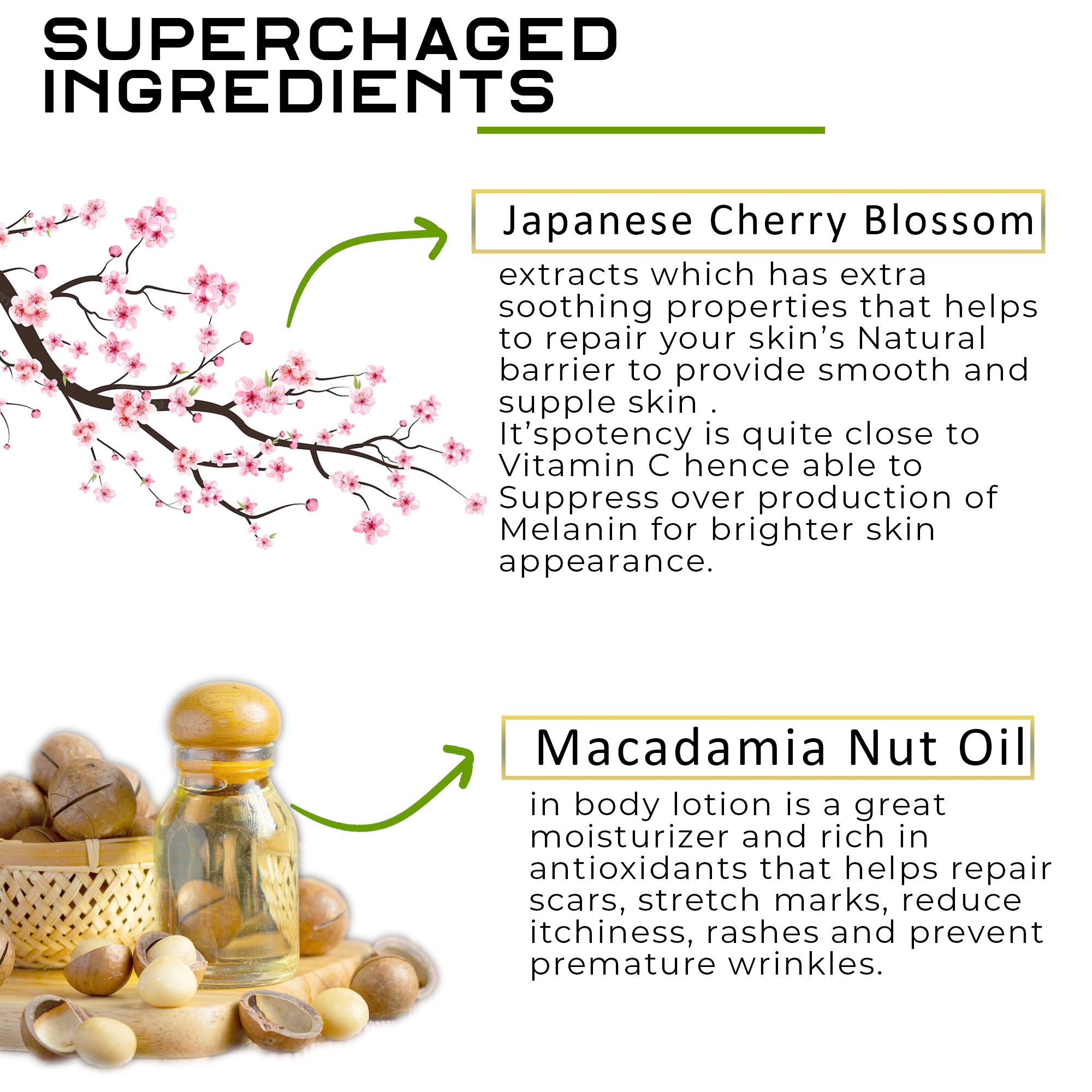 Japanese Cherry Blossom + Macadamia Nut Oil Body Lotion | For Anti-Ageing & Anti-Wrinkle | All Skin Types | For Women And Men