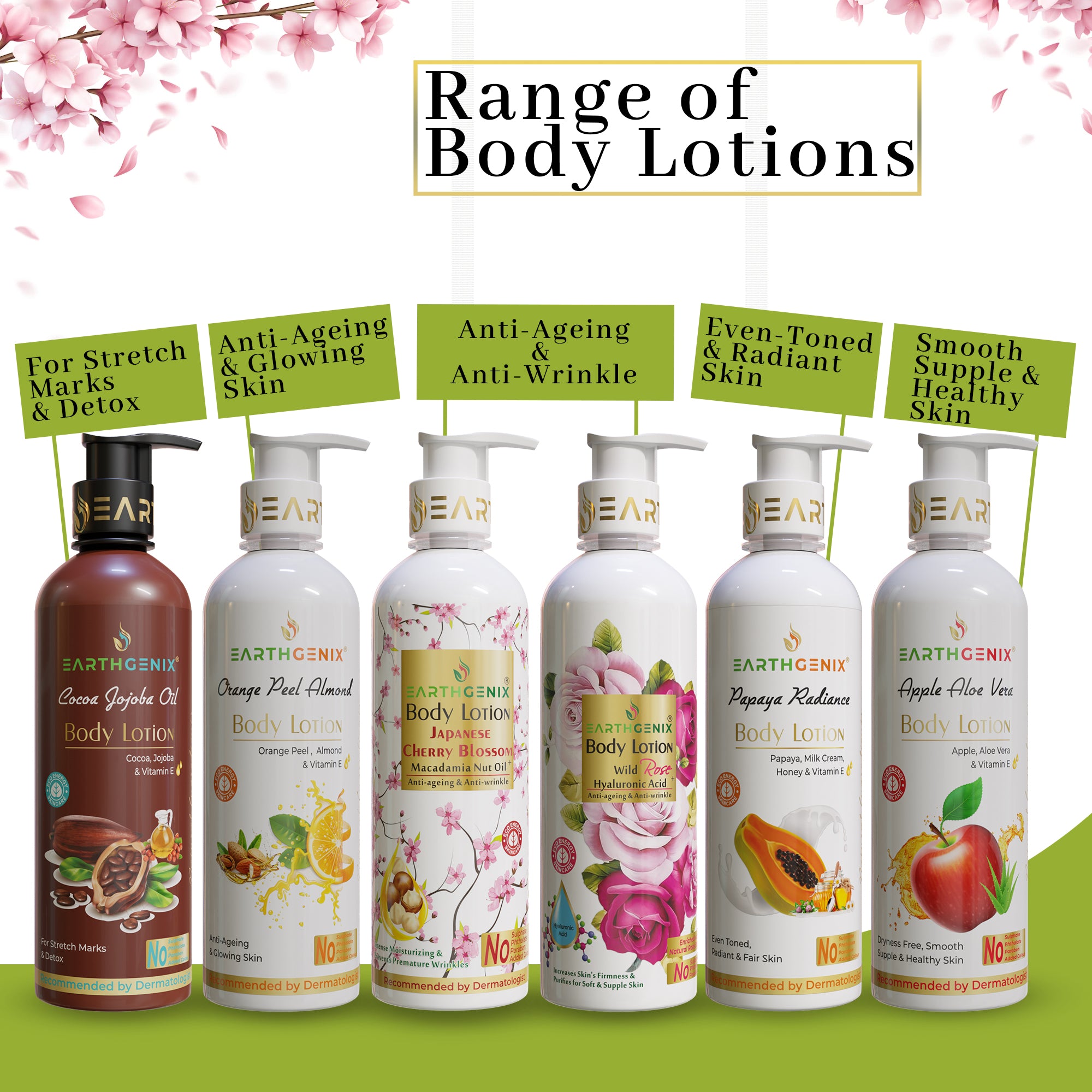 Orange Peel Almond Body Lotion With Vitamin E | For Anti-Ageing & Glowing Skin